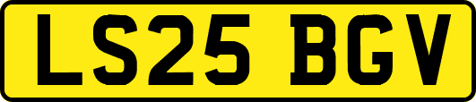 LS25BGV