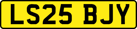LS25BJY