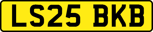 LS25BKB