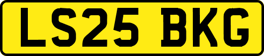 LS25BKG