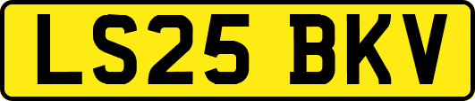 LS25BKV