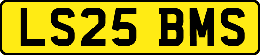 LS25BMS