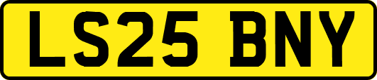 LS25BNY