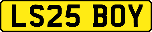 LS25BOY