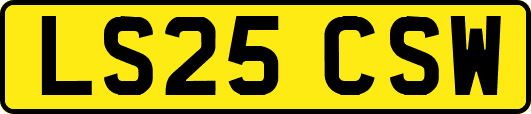 LS25CSW