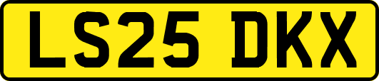 LS25DKX