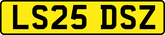 LS25DSZ