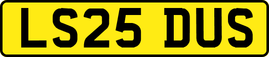 LS25DUS