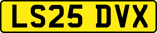 LS25DVX