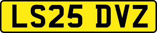LS25DVZ