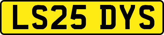 LS25DYS