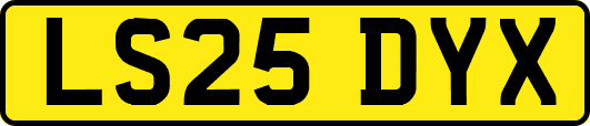 LS25DYX