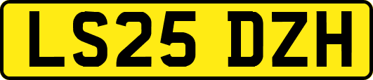 LS25DZH