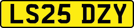 LS25DZY