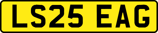 LS25EAG