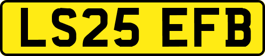 LS25EFB