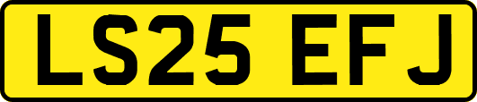 LS25EFJ