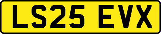 LS25EVX