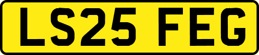 LS25FEG