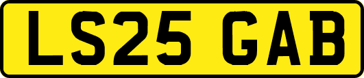 LS25GAB