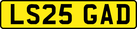 LS25GAD