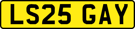 LS25GAY