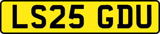 LS25GDU