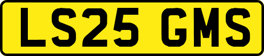 LS25GMS