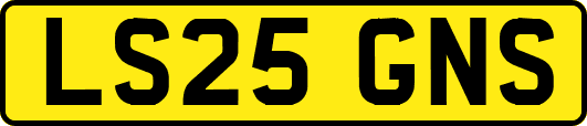 LS25GNS
