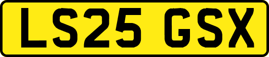LS25GSX