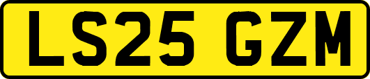LS25GZM