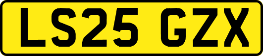 LS25GZX