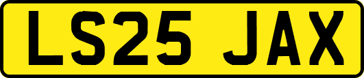 LS25JAX
