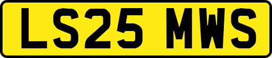 LS25MWS