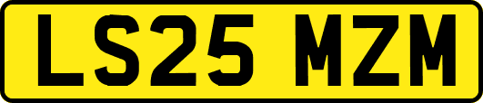 LS25MZM