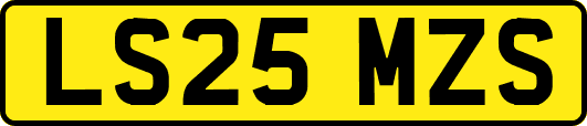 LS25MZS