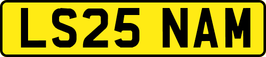 LS25NAM
