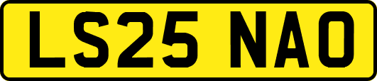 LS25NAO