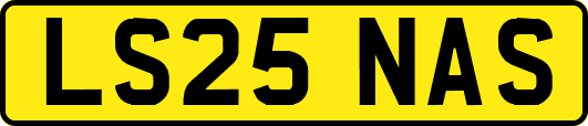 LS25NAS