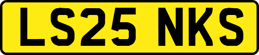 LS25NKS