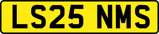 LS25NMS