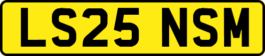 LS25NSM