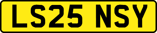 LS25NSY