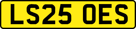 LS25OES