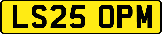 LS25OPM