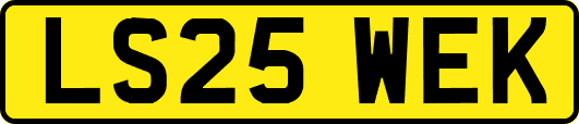LS25WEK