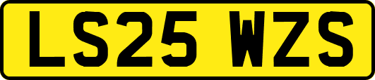 LS25WZS