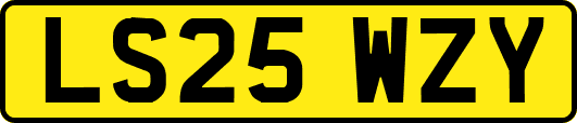 LS25WZY