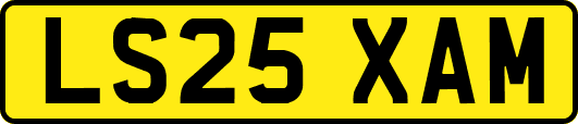 LS25XAM