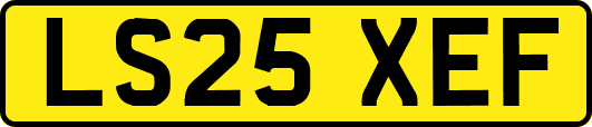 LS25XEF